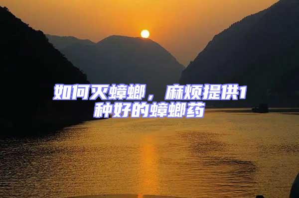 如何滅蟑螂，麻煩提供1種好的蟑螂藥