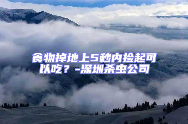 食物掉地上5秒內撿起可以吃？-深圳殺蟲公司
