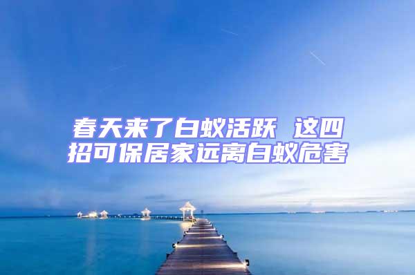 春天來了白蟻活躍 這四招可保居家遠(yuǎn)離白蟻危害