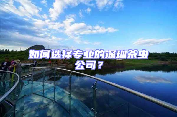 如何選擇專業的深圳殺蟲公司？