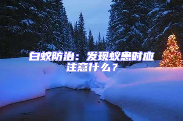 白蟻防治：發(fā)現(xiàn)蟻患時(shí)應(yīng)注意什么？