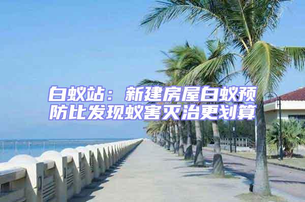 白蟻站：新建房屋白蟻預防比發現蟻害滅治更劃算