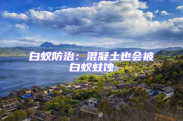 白蟻防治:混凝土也會被白蟻蛀蝕