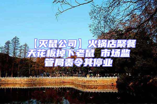 【滅鼠公司】火鍋店聚餐天花板掉下老鼠 市場監(jiān)管局責(zé)令其停業(yè)