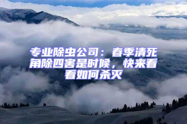 專業(yè)除蟲公司：春季清死角除四害是時候，快來看看如何殺滅