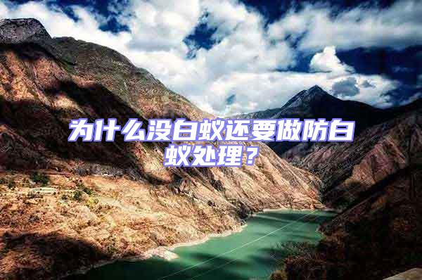 為什么沒白蟻還要做防白蟻處理?