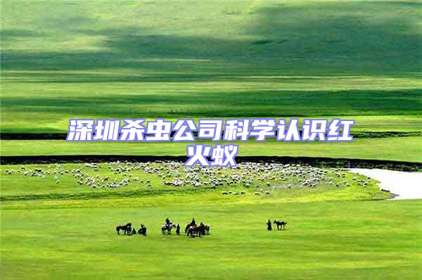 深圳殺蟲公司科學認識紅火蟻