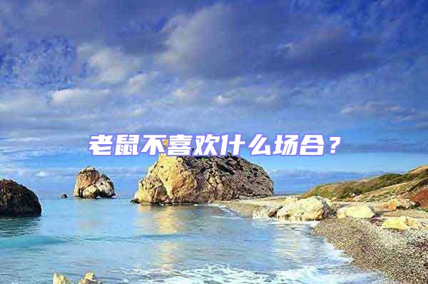 老鼠不喜歡什么場(chǎng)合？