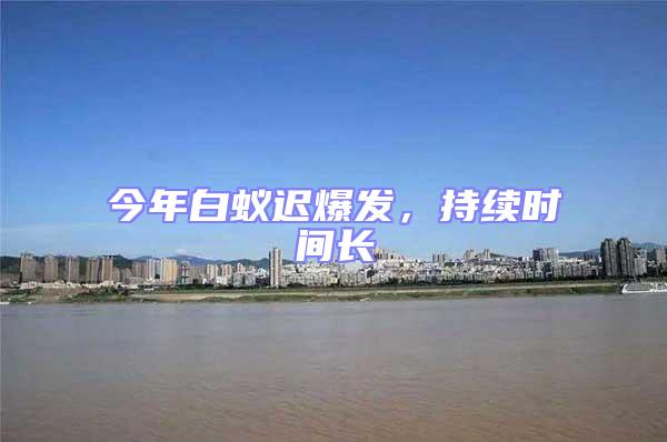 今年白蟻遲爆發(fā),持續(xù)時間長