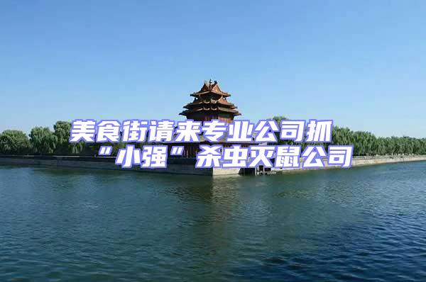 美食街請(qǐng)來(lái)專業(yè)公司抓“小強(qiáng)”殺蟲滅鼠公司