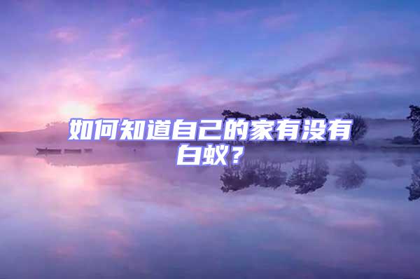 如何知道自己的家有沒有白蟻?