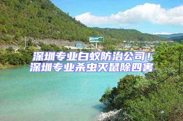 深圳專業白蟻防治公司！深圳專業殺蟲滅鼠除四害
