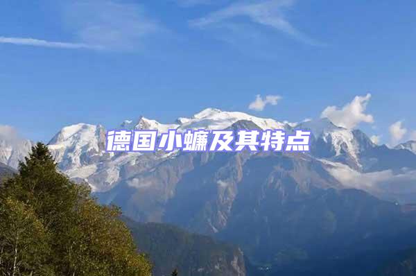 德國(guó)小蠊及其特點(diǎn)