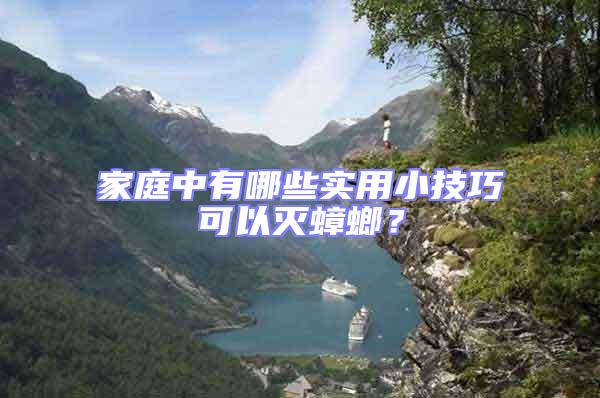 家庭中有哪些實(shí)用小技巧可以滅蟑螂?