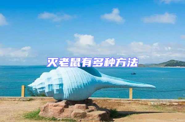 滅老鼠有多種方法