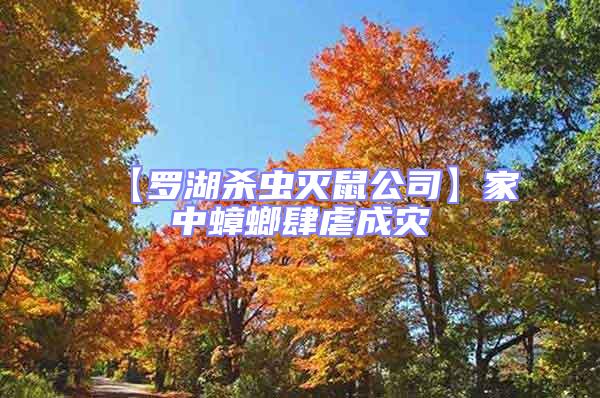 【羅湖殺蟲滅鼠公司】家中蟑螂肆虐成災(zāi)