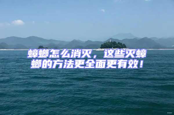 蟑螂怎么消滅，這些滅蟑螂的方法更全面更有效！