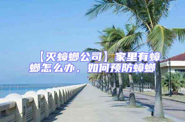 【滅蟑螂公司】家里有蟑螂怎么辦,如何預防蟑螂