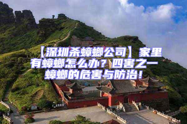 【深圳殺蟑螂公司】家里有蟑螂怎么辦？四害之一蟑螂的危害與防治！