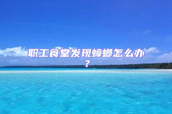 職工食堂發現蟑螂怎么辦？