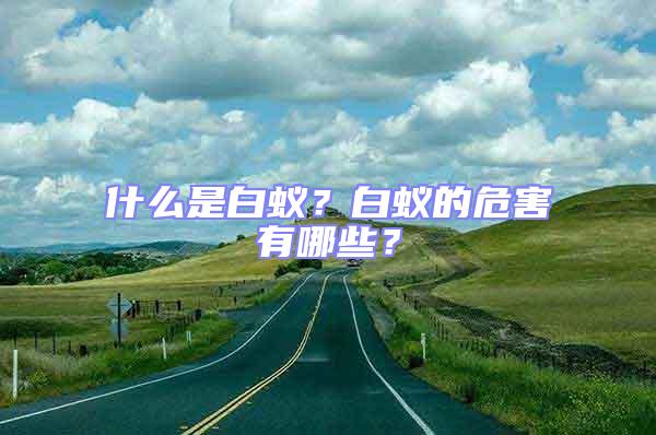 什么是白蟻？白蟻的危害有哪些？