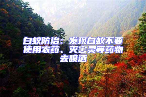 白蟻防治：發現白蟻不要使用農藥、滅害靈等藥物去噴灑