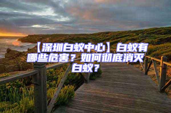 【深圳白蟻中心】白蟻有哪些危害？如何徹底消滅白蟻？