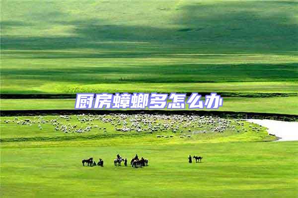 廚房蟑螂多怎么辦