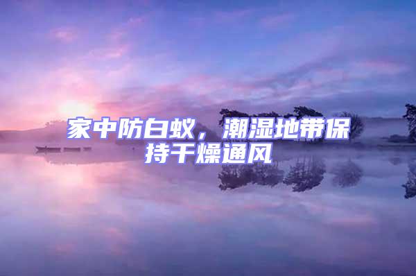 家中防白蟻,潮濕地帶保持干燥通風(fēng)