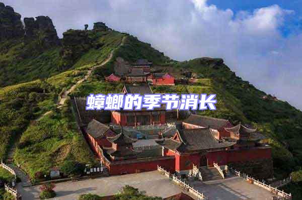 蟑螂的季節(jié)消長(zhǎng)