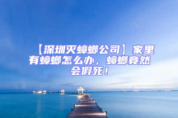 【深圳滅蟑螂公司】家里有蟑螂怎么辦,蟑螂竟然會(huì)假死!