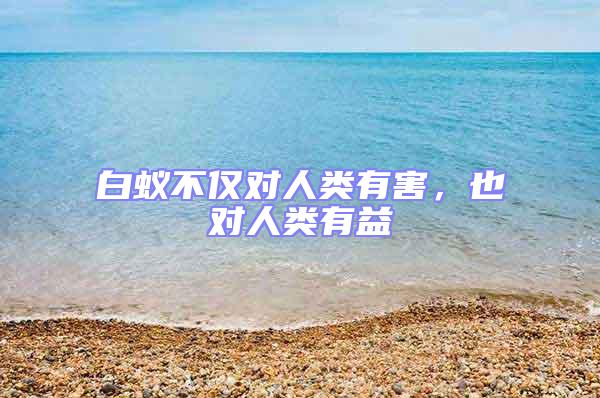 白蟻不僅對人類有害,也對人類有益