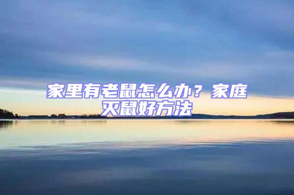 家里有老鼠怎么辦？家庭滅鼠好方法