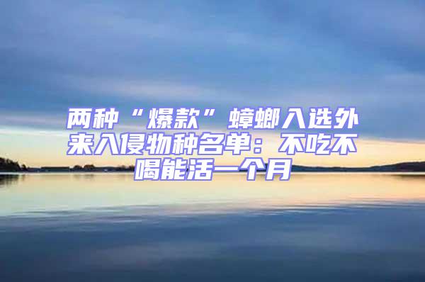 兩種“爆款”蟑螂入選外來入侵物種名單：不吃不喝能活一個月