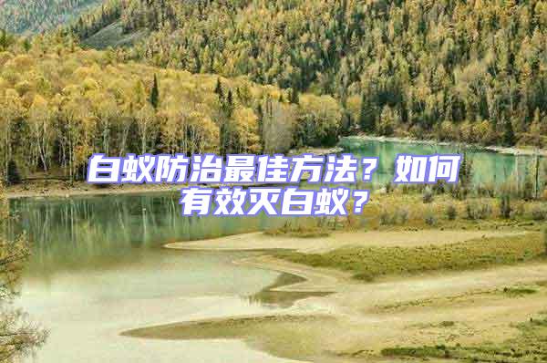 白蟻防治最佳方法？如何有效滅白蟻？