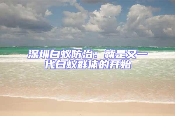 深圳白蟻防治：就是又一代白蟻群體的開始