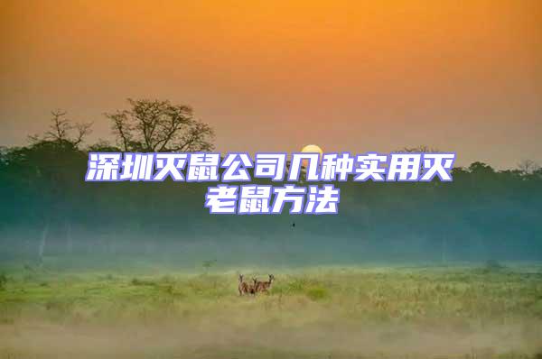 深圳滅鼠公司幾種實用滅老鼠方法