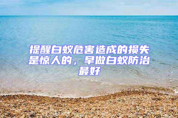 提醒白蟻危害造成的損失是驚人的，早做白蟻防治最好