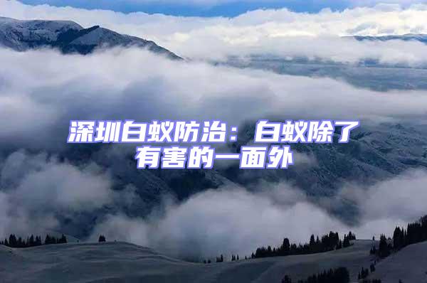 深圳白蟻防治：白蟻除了有害的一面外