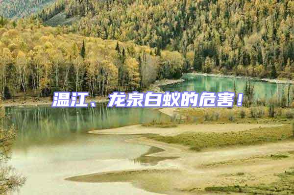 溫江、龍泉白蟻的危害!