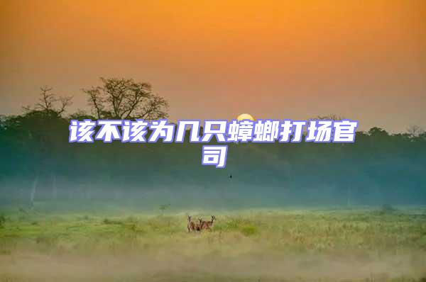 該不該為幾只蟑螂打場官司