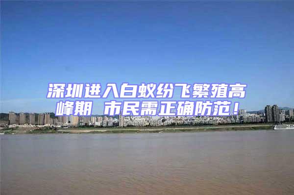 深圳進(jìn)入白蟻紛飛繁殖高峰期 市民需正確防范！