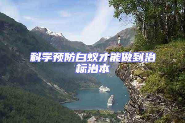 科學預防白蟻才能做到治標治本