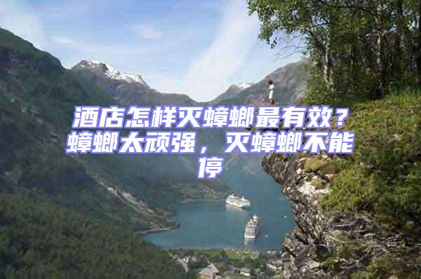酒店怎樣滅蟑螂最有效？蟑螂太頑強，滅蟑螂不能停