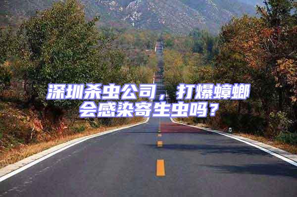 深圳殺蟲公司，打爆蟑螂會(huì)感染寄生蟲嗎？