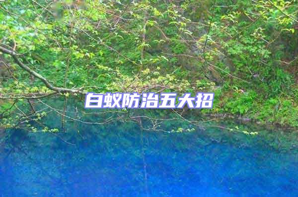 白蟻防治五大招