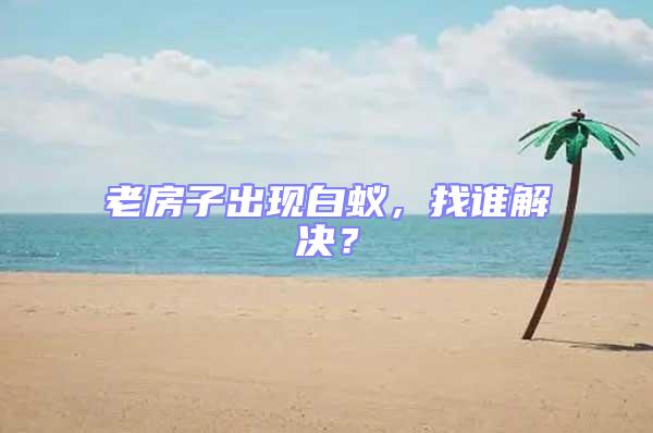 老房子出現白蟻，找誰解決？