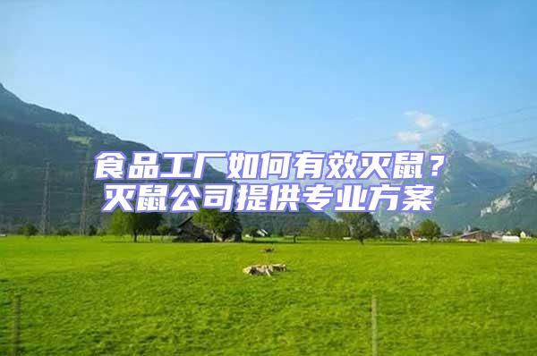 食品工廠如何有效滅鼠？滅鼠公司提供專業(yè)方案