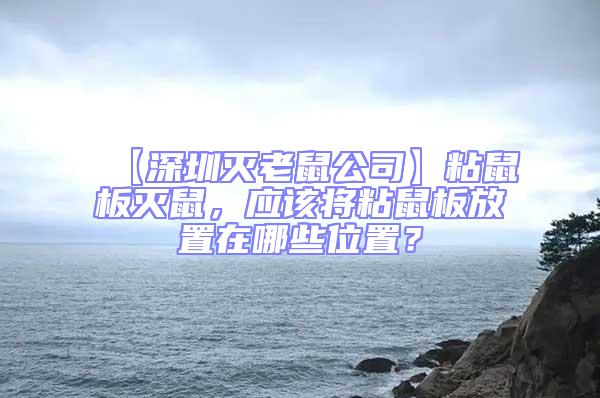 【深圳滅老鼠公司】粘鼠板滅鼠，應該將粘鼠板放置在哪些位置？