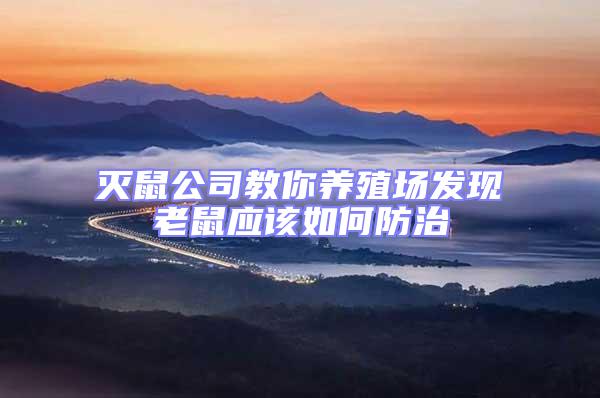 滅鼠公司教你養殖場發現老鼠應該如何防治